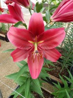 [5604 VH34 No02.JPG]